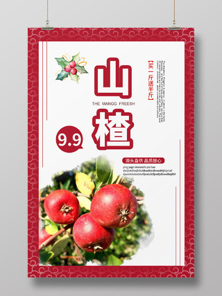 红色简约风山楂山楂水果宣传海报